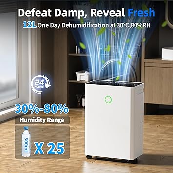 Foto del Deshumidificador