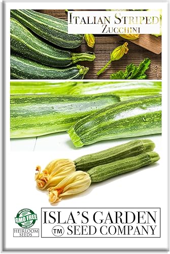 Semillas de calabaza de verano de calabacín a rayas italianas para plantar, más de 50 semillas tradicionales por paquete, semillas de jardín de Isla