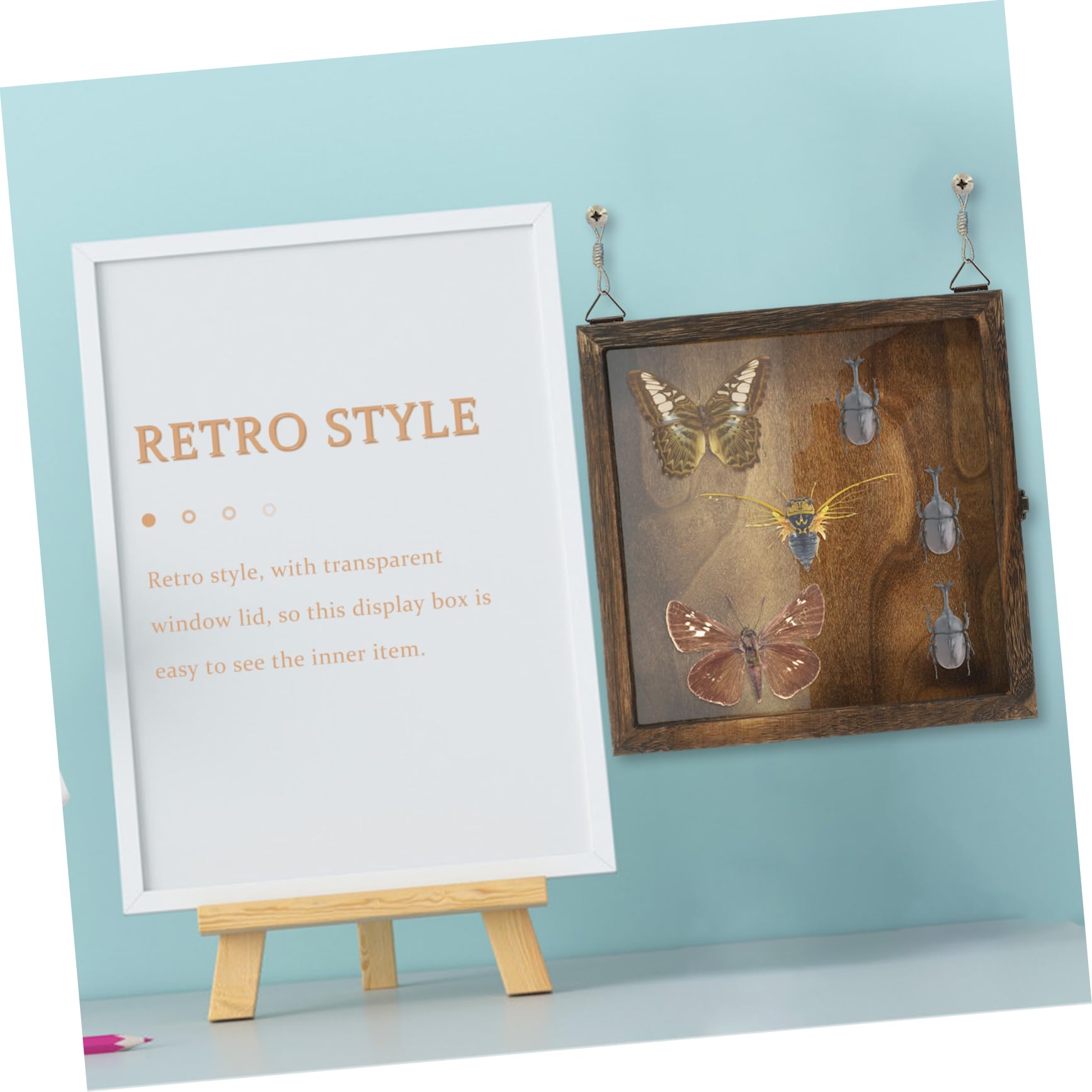 PartyKindom Caja de Muestras de Insectos Tapa, Madera y Acrílico, Retro