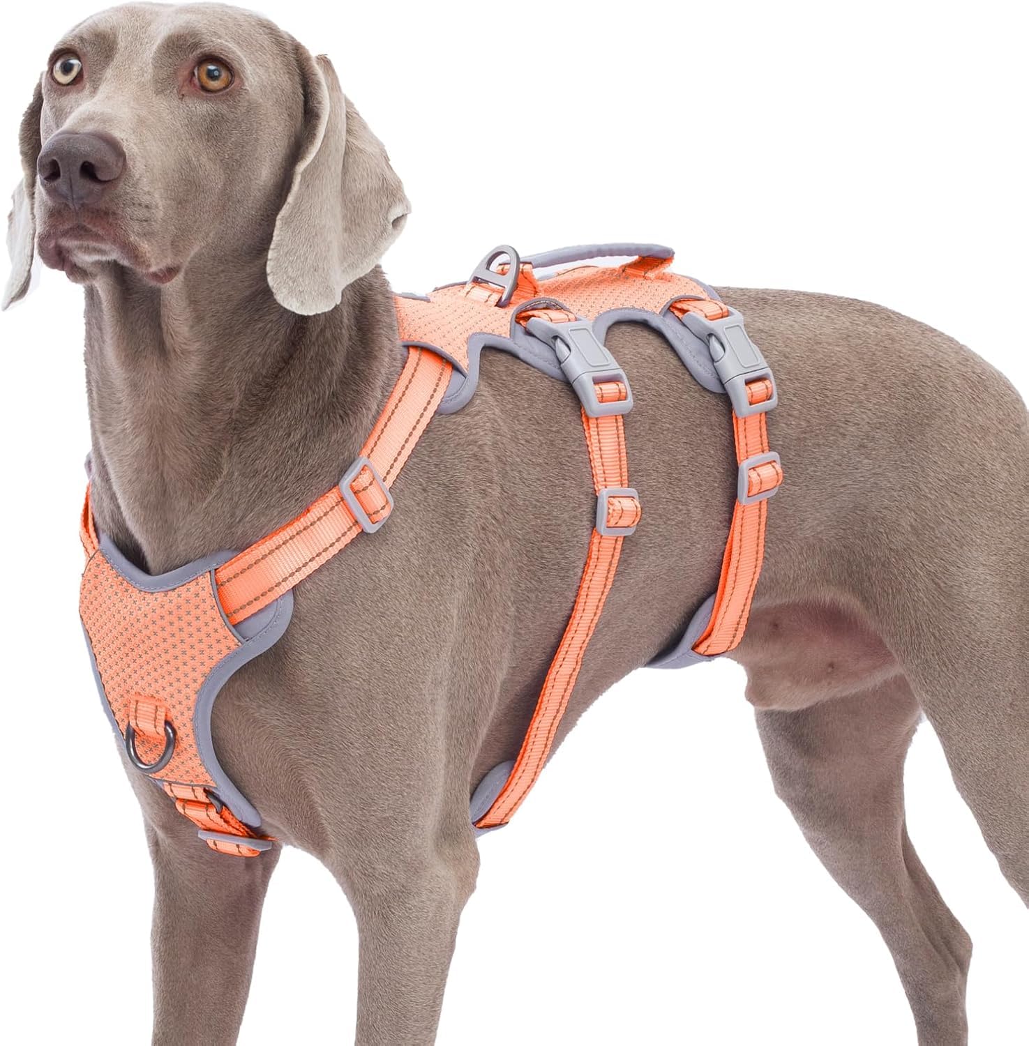 Huntboo Pettorina a prova di fuga per cani, pettorina per cani no escape, pettorina per cani di taglia grande con maniglia, riflettente, traspirante, durevole, gilet regolabile per passeggiate e corsa