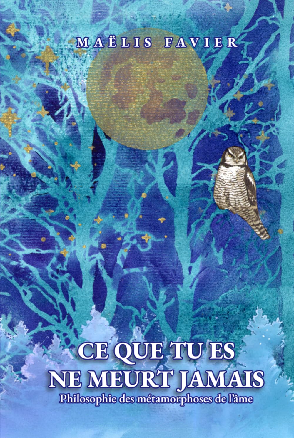 Ce que tu es ne meurt jamais: Philosophie des métamorphoses de l’âme