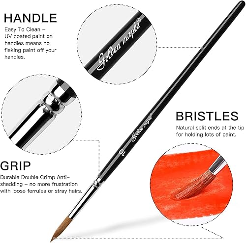 Miniatura 6 de golden maple - Juego profesional de pinceles de acuarela, 10 pinceles de artista, pinceles de pintura de acuarela, pinceles de pintura de punta