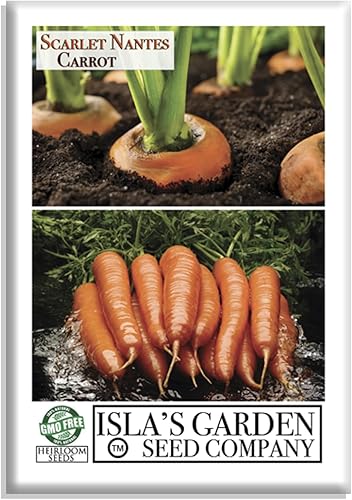 Semillas de zanahoria Scarlet Nantes para plantar, más de 500 semillas de reliquia por paquete, semillas de jardín de Isla (semillas de jardín de