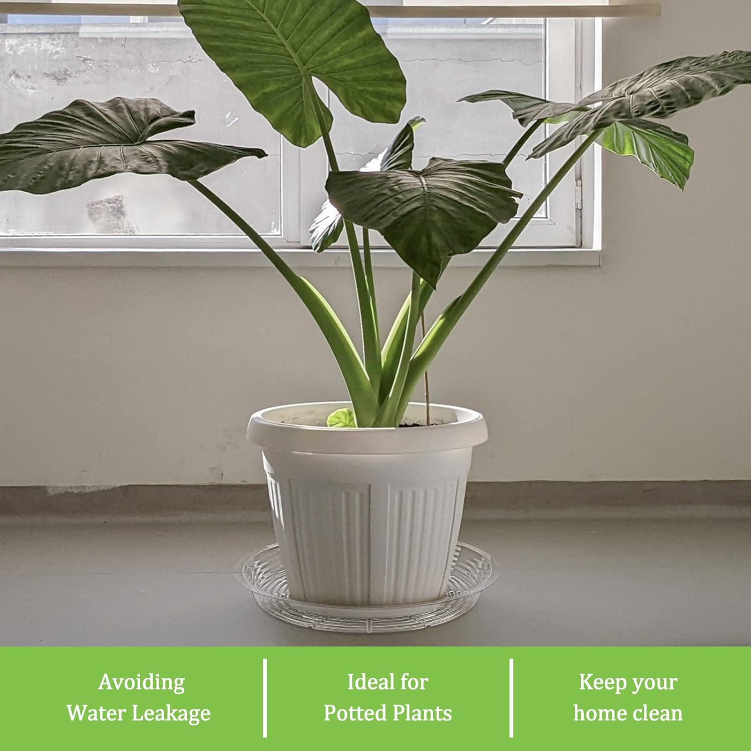 Shellwei 18 Pack 20 Inch Plastic Plant Saucers Extra Large Clear Flower Pot Drip Trays Plants Drip Tray Plant Drainage Tray Plants Saucer Trays for Indoors Outdoors