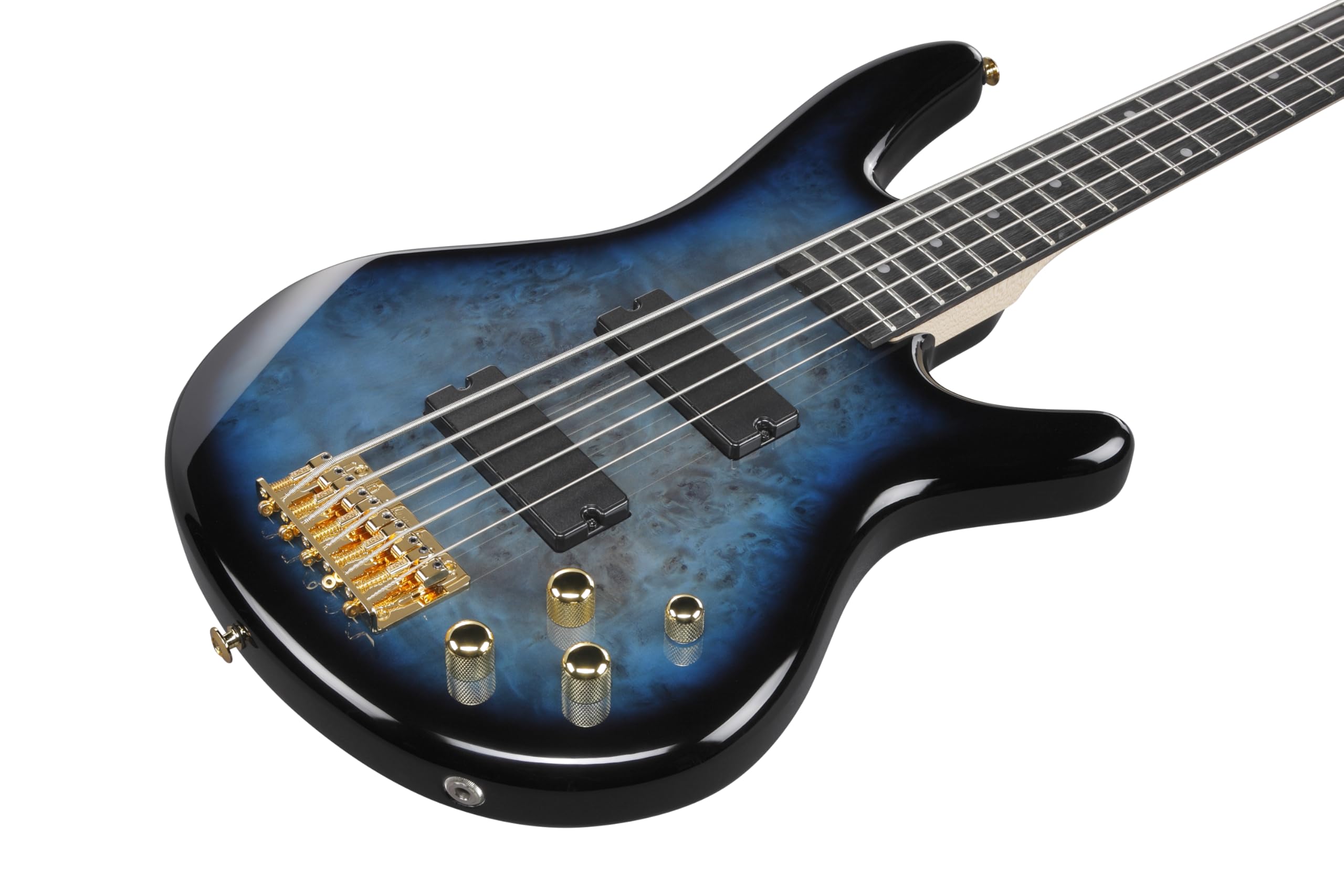 Ibanez GSR205PC 五弦ベース Amazon.com: Ibanez Gio GSR205PC 5-string Bass Guitar - Transparent