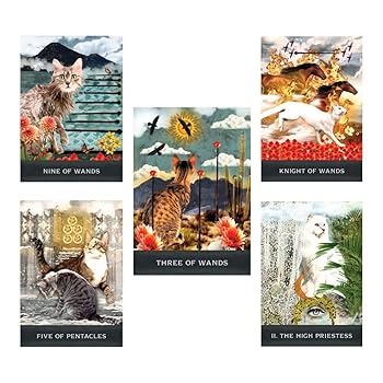 Amazon | Kancharo タロットカード 80 枚 タロット占い