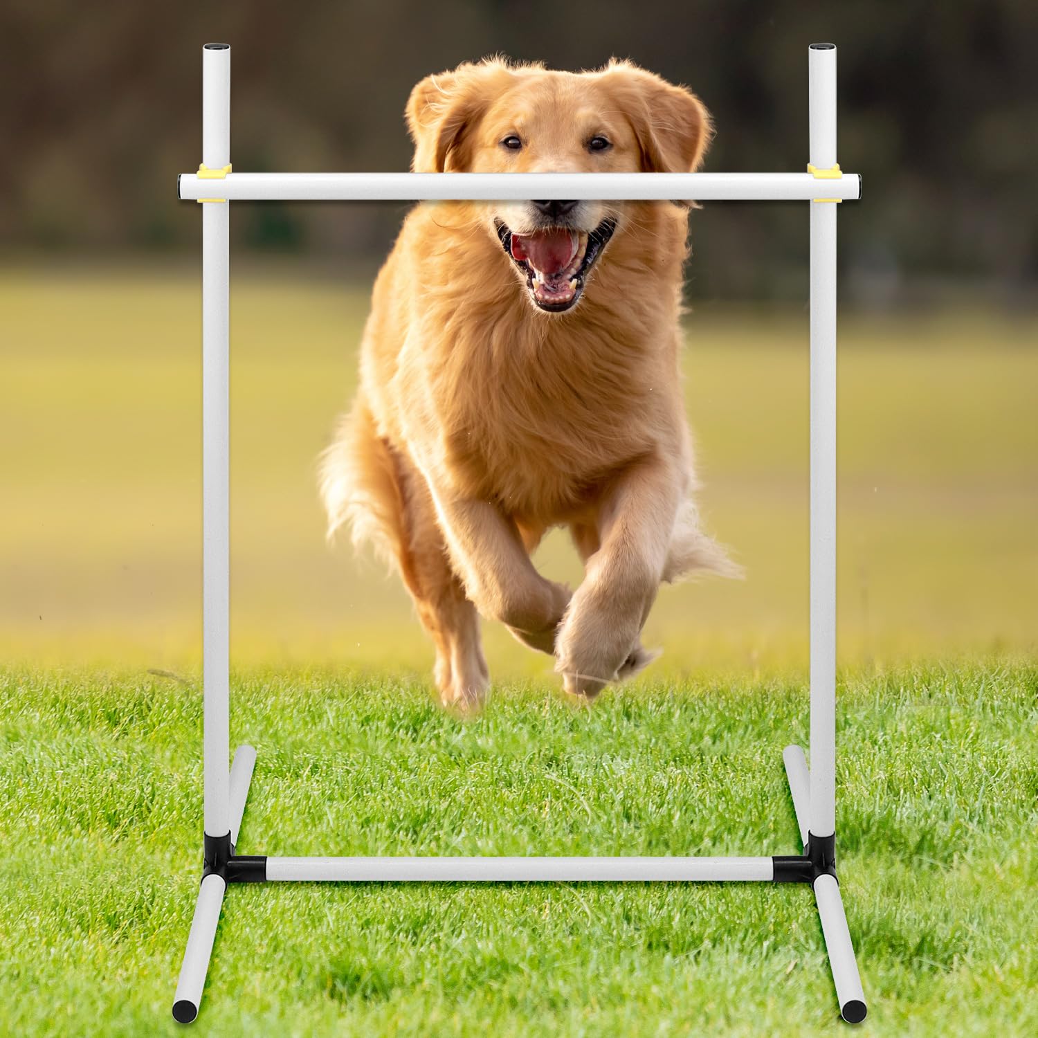 QWORK® Juego de 4 Vallas de Agilidad para adiestramiento de Perros, Vallas de plástico de Altura Regulable