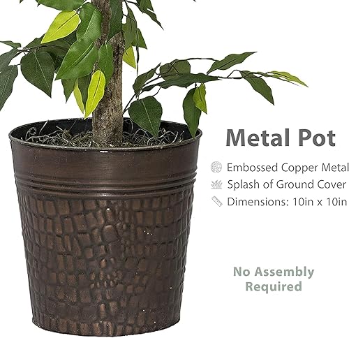 Miniatura 3 de Paquete de árbol de ficus  Paquete de árbol de ficus de 4 y 6 pies en maceta de metal de cobre  Decoración de plantas  Decoración para el hogar,