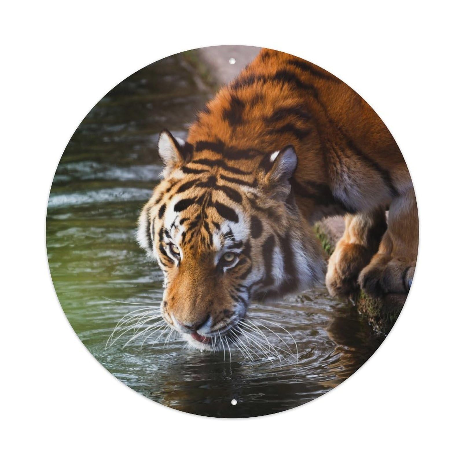 Big Cat Wildlife Poster China Tiger Hunting Metal Tin Sign