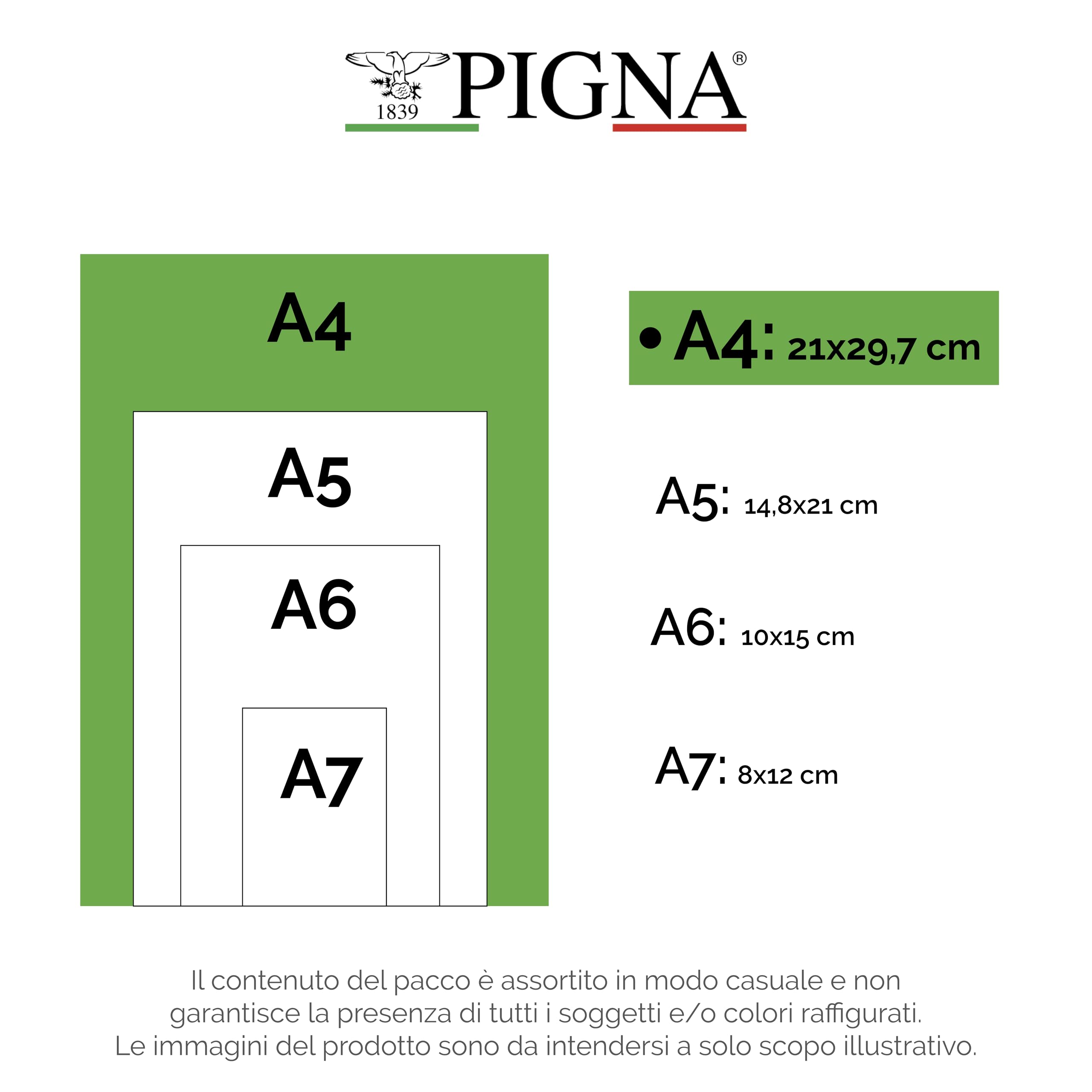 Pigna Colours 02308750C Schrift, A4, liniatuur 0C, gelinieerd voor klassen 4e en 5e klas, papier 80g/m², verpakking van 10 stuks