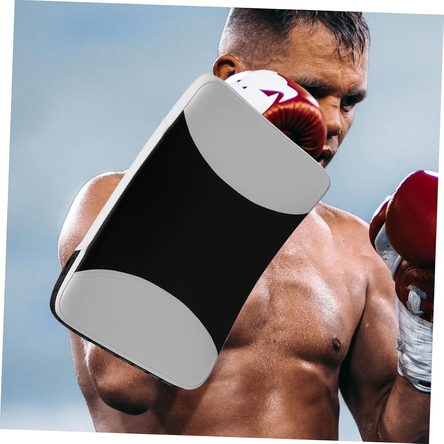 Taekwondo Hand Catching Target Boxing Kicking Pad Kickboxing Pads Martial Arts for Kickboxing