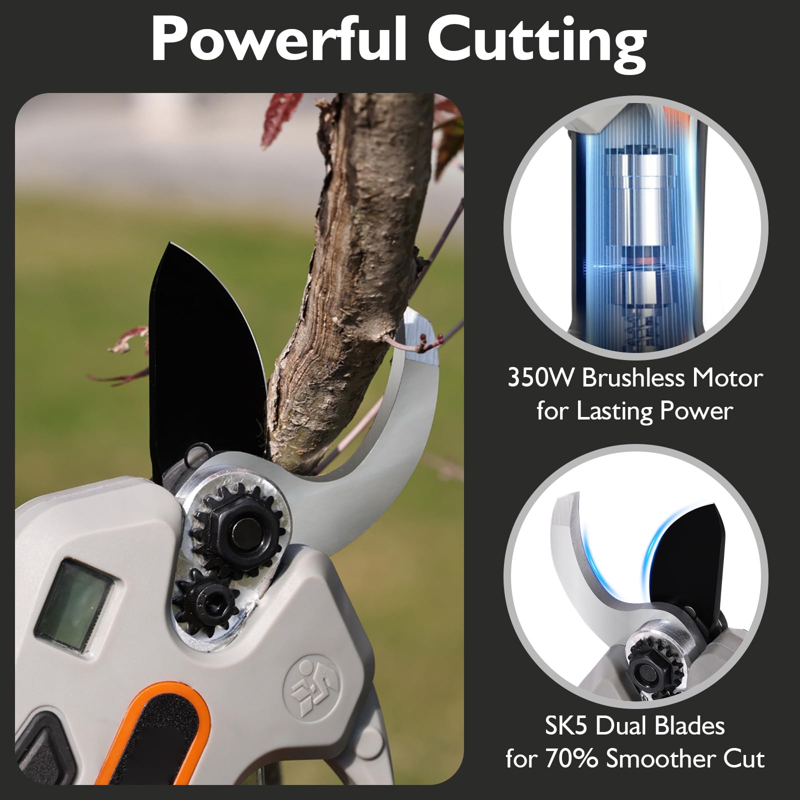 Coupe Branche Electrique (Kit Double Batterie) – Secateur Électrique Sans Fil, Secateur De Jardin Cisaille Avec Gants Et Sac À Outils – Pour Vignes Et Olivier Dans Les Vergers/Jardins