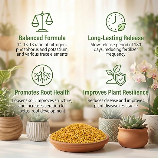 Fertilizante de Liberación Lenta RAINFLOW 11.28 oz para Suculentas y Orquídeas miniatura 3