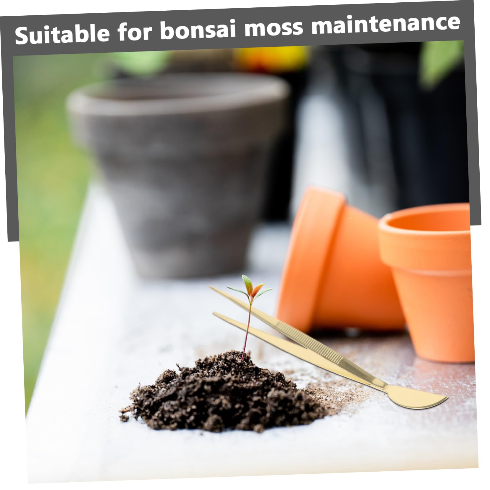 BESPORTBLE 5pezzi Pinzette in Acciaio Inossidabile Per Bonsai Con Raschietto Strumento Per Giardinaggio Rimozione Foglie Secche e Applicazione Muschio Design Ergonomico e Antiscivolo