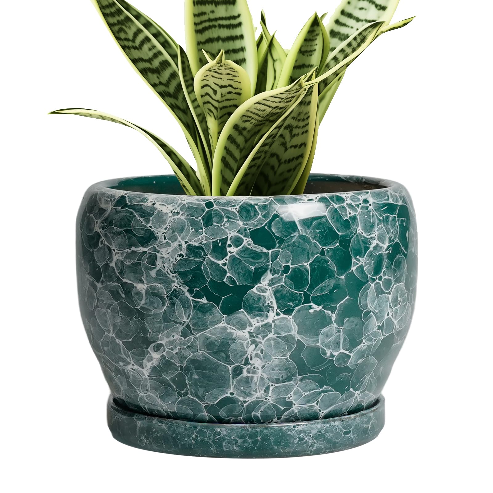 SQOWL Ceramic Pot for Plants