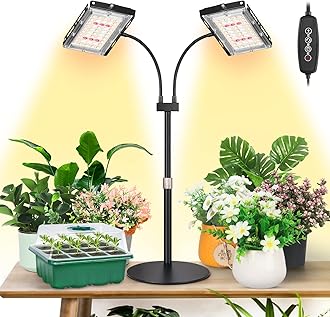 LBW Plant Grow Light, Full Spectrum Dual Heads Desk Plant Light for Indoor Plants, Growing Lamp with 3H/6H/12H Timer, 6-Level Brightness, 3 Lighting Modes, Height Adjustable, Ideal for Indoor Growth
