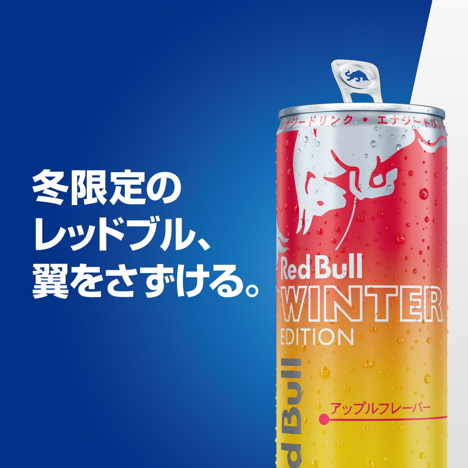 RedBull レッドブル 100本 RedBull レッドブル 100本