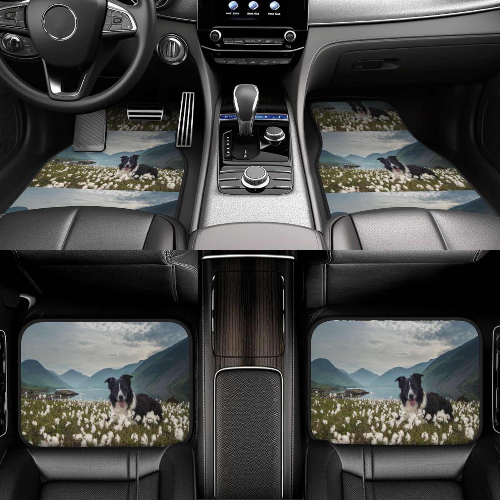 Border Collie Hunde Haustiere Grasland Schwarzer Border, 4er-Set Auto-Fußmatten, Neopren-Fußmatten für Fahrzeuge, rutschfeste Auto-Fußmatten, Autozubehör