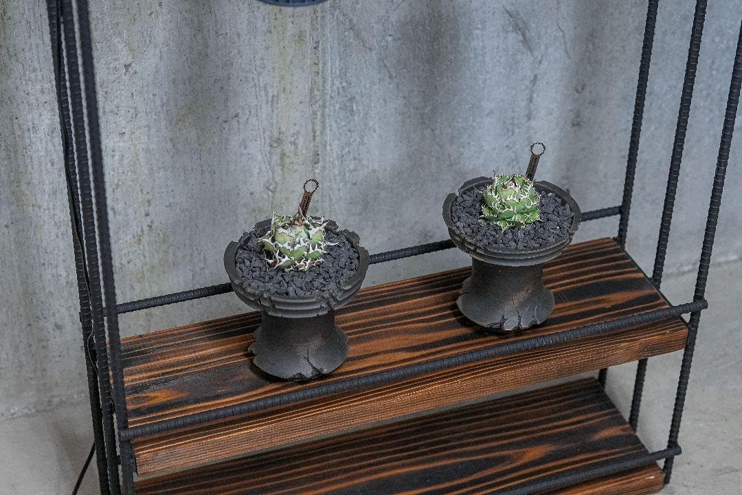 植物育成棚 ダクトレール付き アイアンシェルフ 男前インテリア