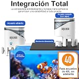 Ver la foto 4