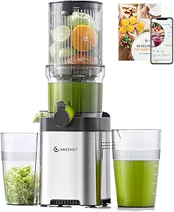 AMZCHEF Cold Press Juicer, Juicer Machines - 4.6" Large Feed Chute for Whole Fruits & Vegetables, Stainless Steel Slow Masticating Juicer Easy to Clean, Large Auger, Double Strainers, Silver