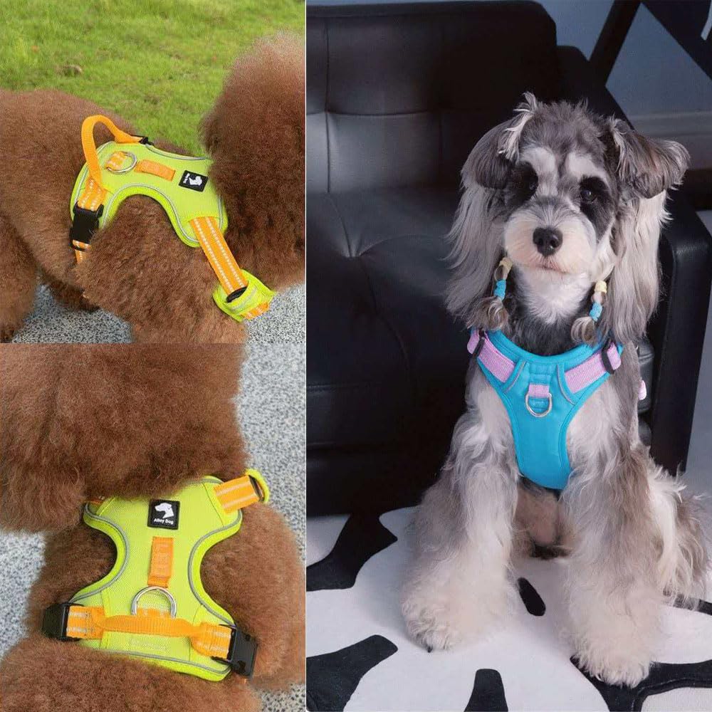 Questo set composto da pettorina e guinzaglio è progettato specificamente per i Saint Bernard. Include una pettorina regolabile e resistente alla trazione con un guinzaglio di 1,5 metri. red XL
