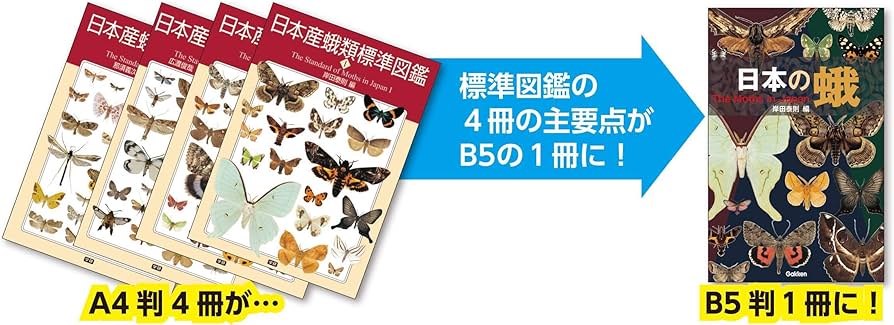 日本産蛾類標準図鑑 IV 日本産蛾類標準図鑑 IV 日本産蛾類標準図鑑4