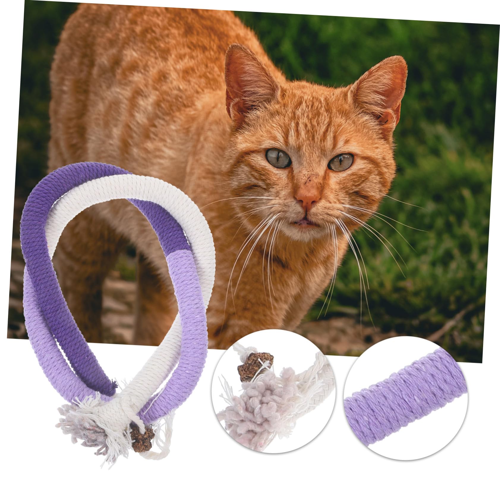 Ipetboom 15pièces Jouets Cataire pour Chats Cordes à Mâcher Interactives pour Éveiller Instinct De Chasse Et Aider à Hygiène Jouet Amusant pour Chats Intérieur