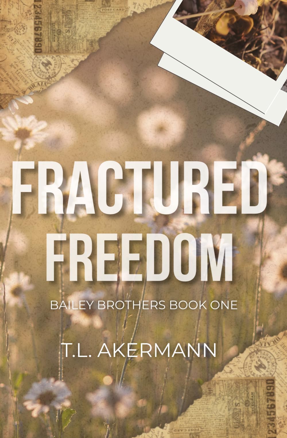 Fractured Freedom: Bailey Brothers Book #1