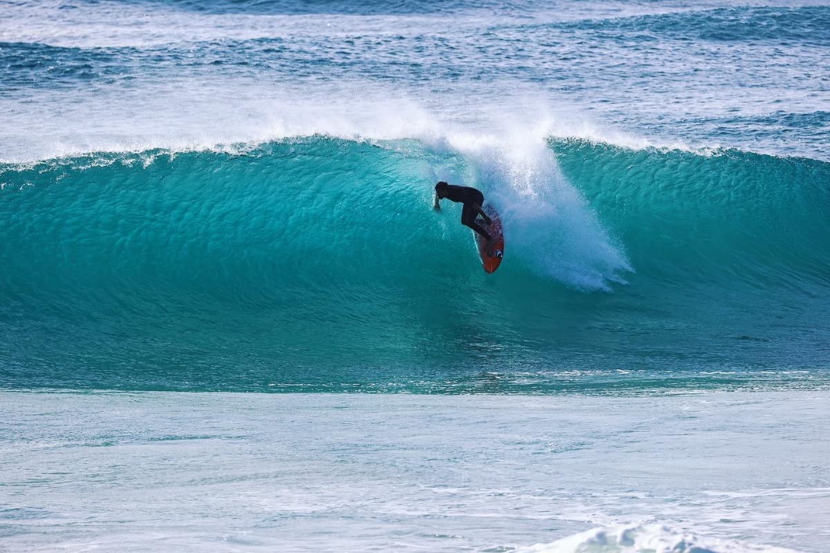 Amazon | Shapers サーフボードフィン Asher Pacey カーボンフレア