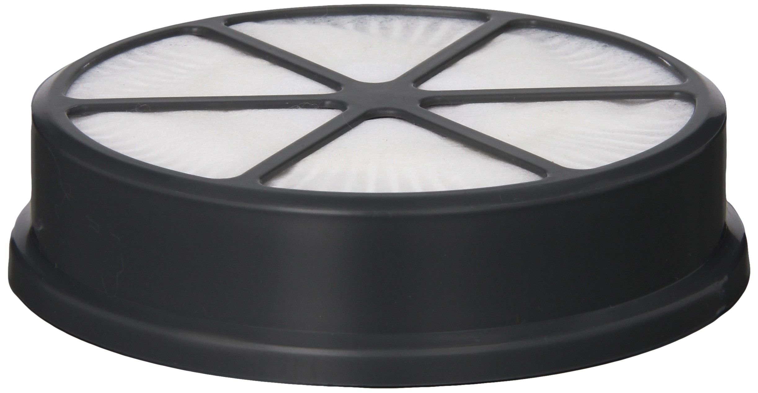 Hoover Filter, Final Hepa