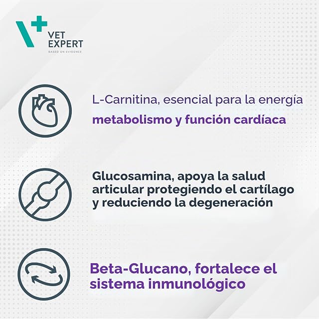 Foto 4 de 8 de VetExpert GeriatiVet Dog - por la vitalidad del Perro. para Perros pequeños de hasta 15 kg de Peso