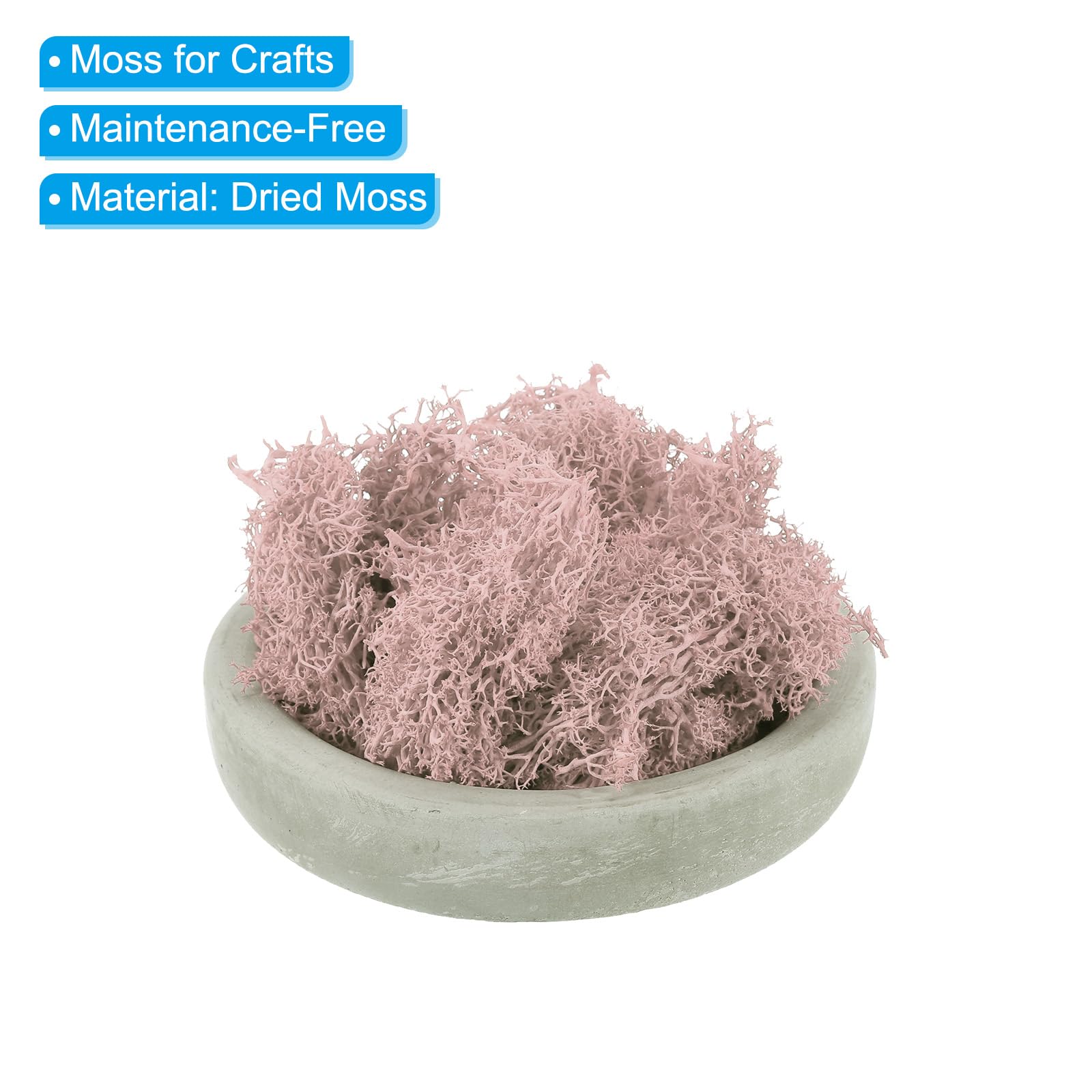 PATIKIL 3.5 OZ Finto Muschio Conservato Renna Muschio Artificiale Muschio Lichene Centrotavola Decoro Finto Muschio per Vaso Piante Natale Artigianato Bianco