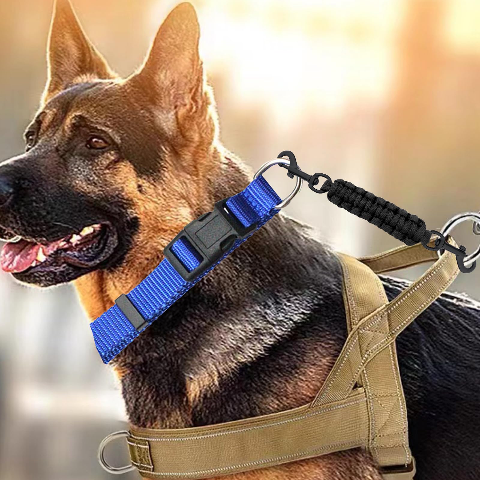 Dog Collar Safety Clip for Prong Collar Backup Safety Strap for Dog Harness Reflective Double Ended Backup Clasp Leash Connector for Walking Running Training