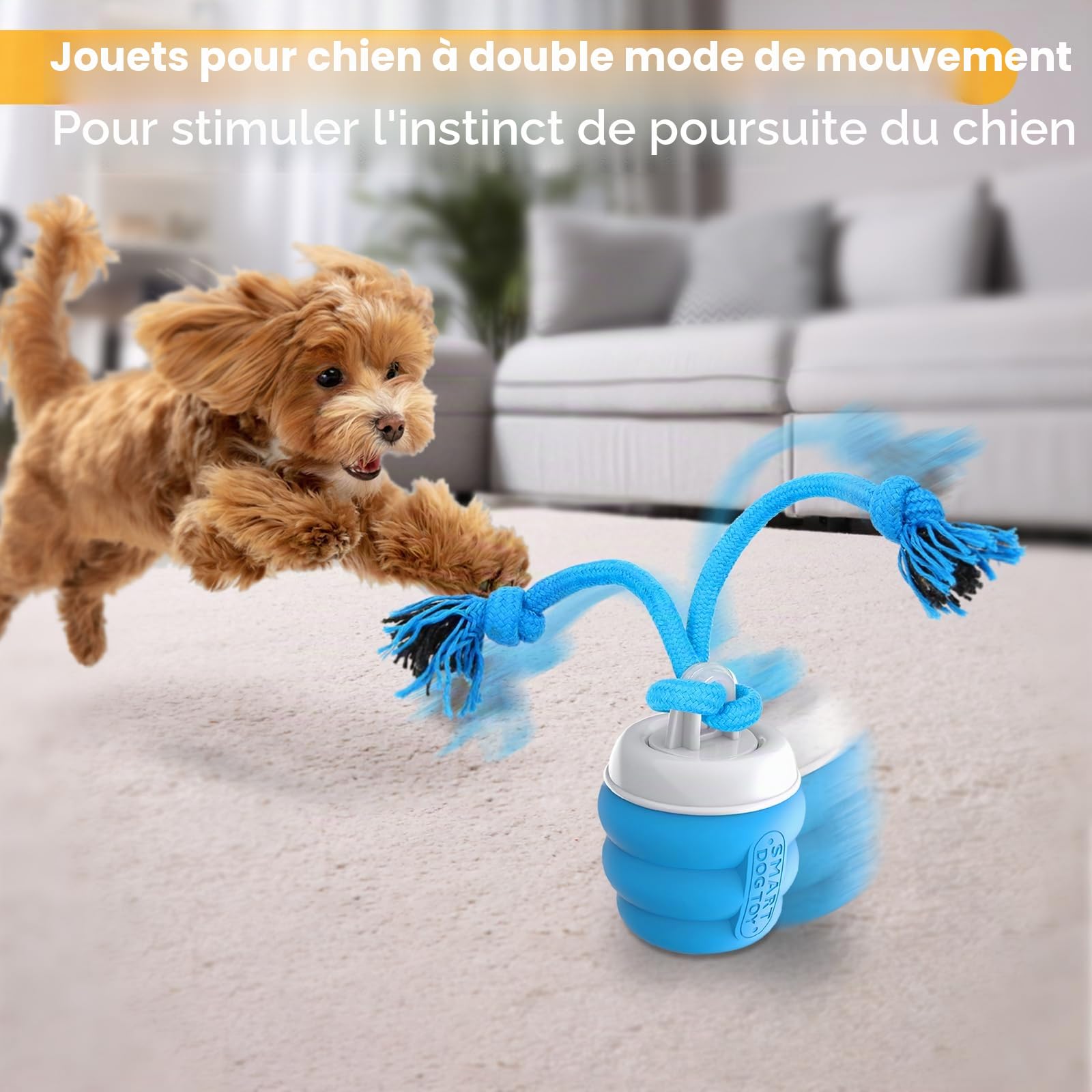 Jouet Interactif Chien Cccupation – Balle Automatique Intelligente pour Chiens de Petite Moyenne‌ Taille, Stimule et Divertit Les Chiens, Mode de Jeu Autonome, Rechargeable (Bleu‌)