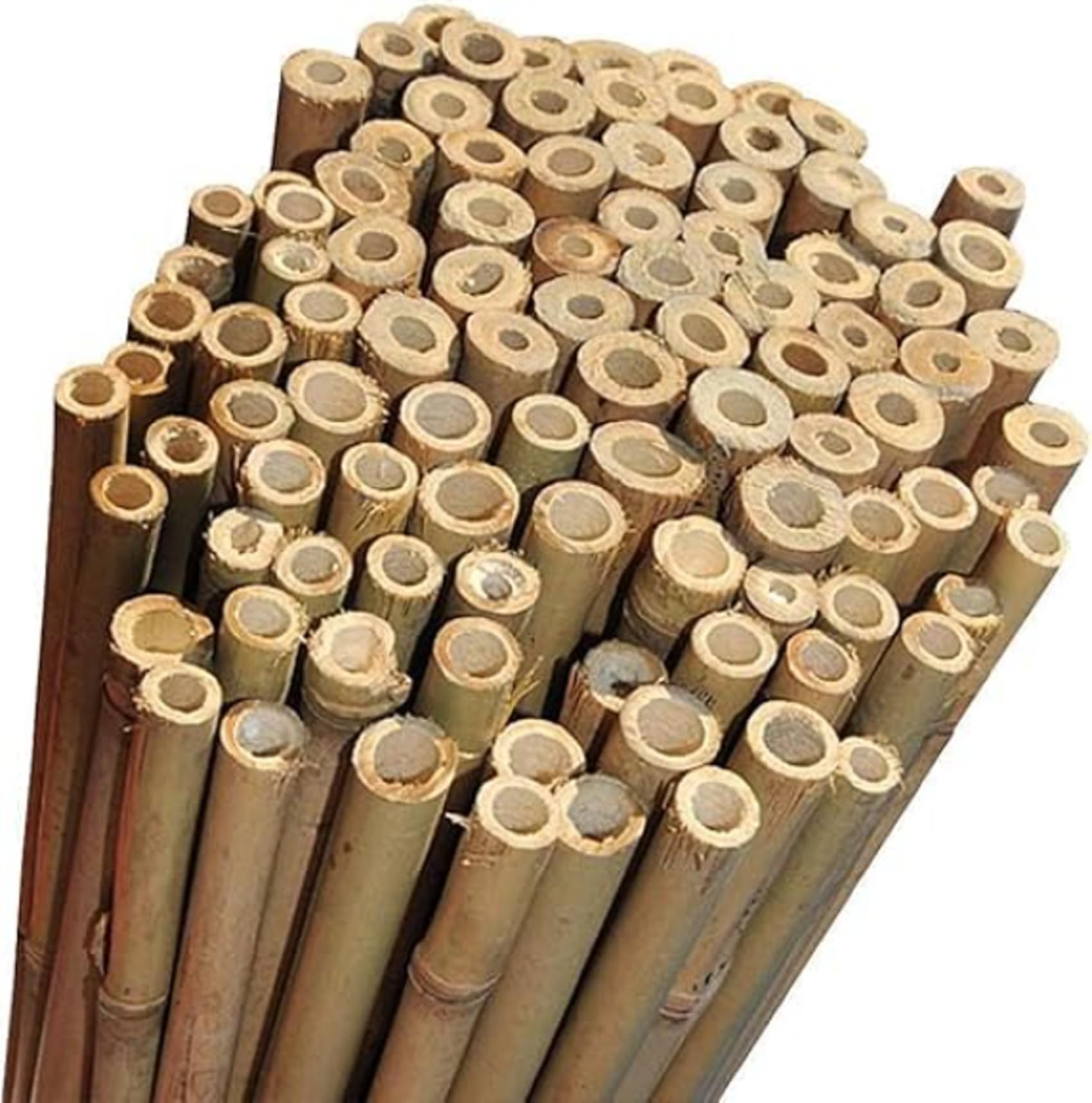 PriceKingX Natural Bamboo Canes-2FT-3FT-4FT-5FT-6FT Heavy Duty Bamboo Canes- Long Sticks Plant Support- Garden canes Professional Thick Out/Indoor- Canes/Stake/Pole (50x, 5 FT)
