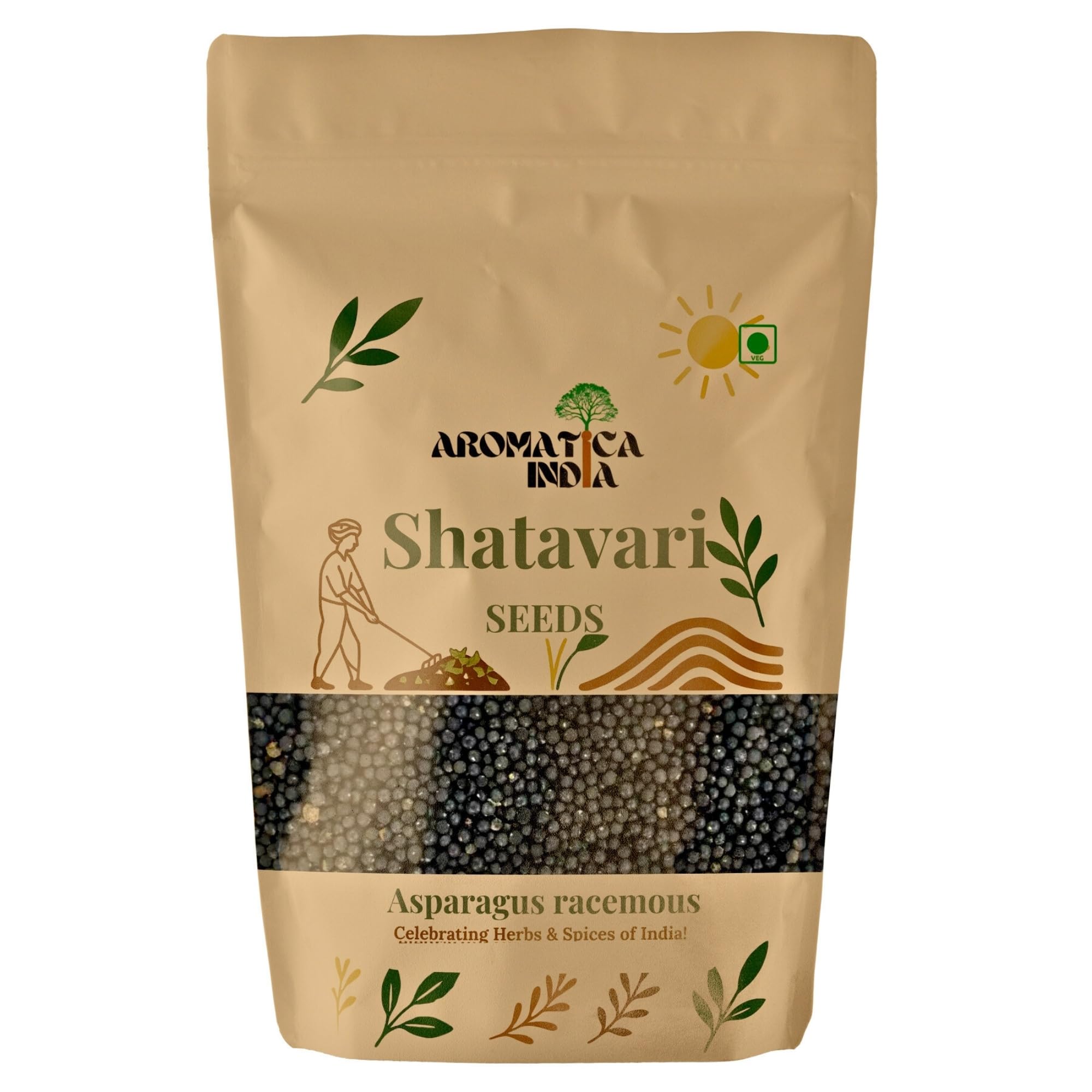 Organic Shatavari Seeds Asparagus Racemosus for Planting & Farming 25gm-image-26
