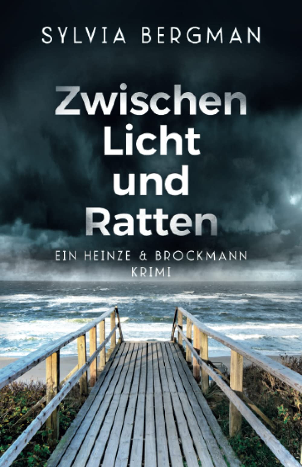 Zwischen Licht und Ratten: Heinze & Brockmanns dritter Fall (Heinze & Brockmann Krimis) (German Edition)