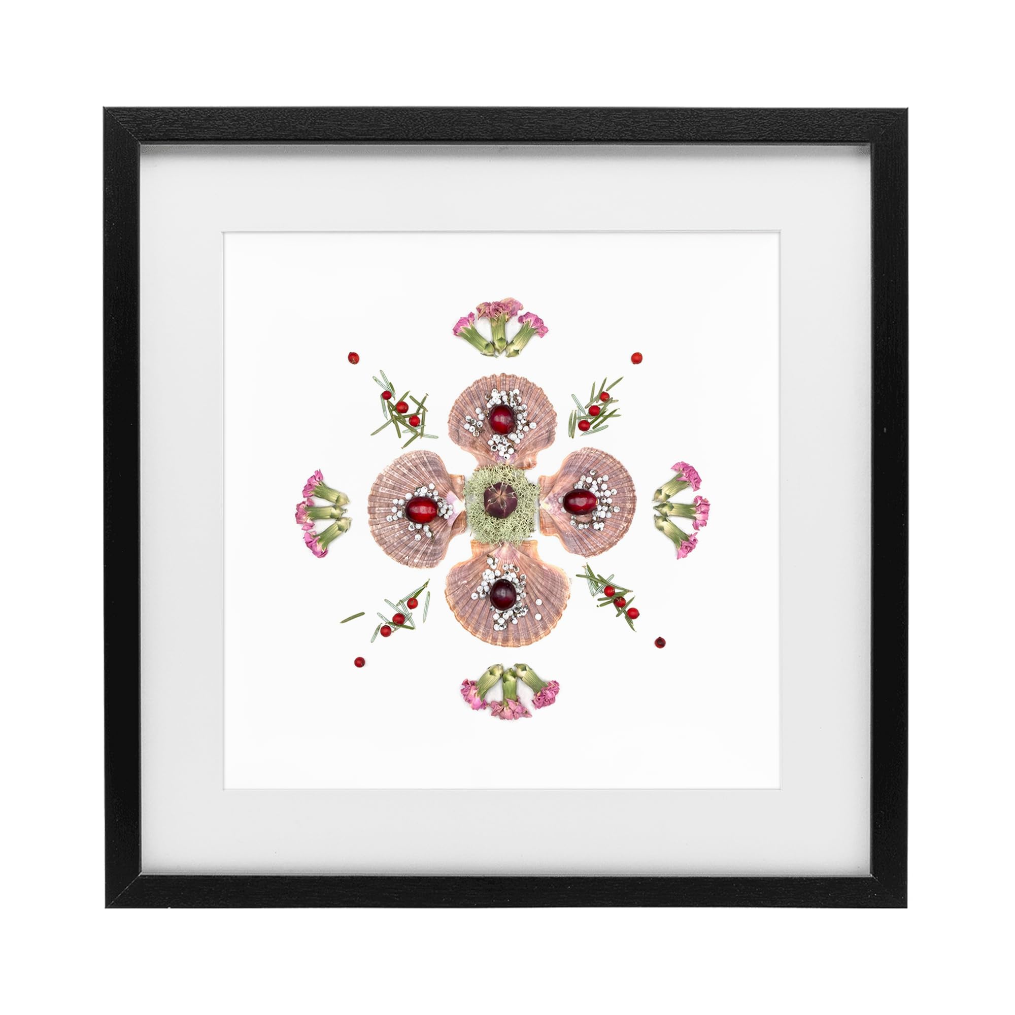 Stupell Industries Midnight Black (Textured) 'Clam Shells & Botanicals Pattern'| Framed Print Under Glass