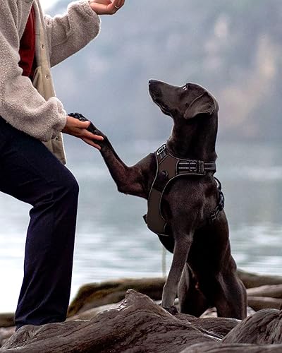 Miniatura 4 de Joytale Arnés sin tirones para perros grandes, chaleco reflectante para mascotas con clip frontal, arnés acolchado suave ajustable con asa de fácil