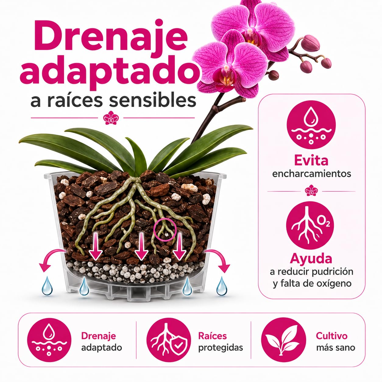 Sustrato Orquídeas terrestres o epifitas | Tierra para Plantas| Mantiene una aireación, Drenaje y retención Ideales para un Crecimiento óptimo | Pack 5 litros