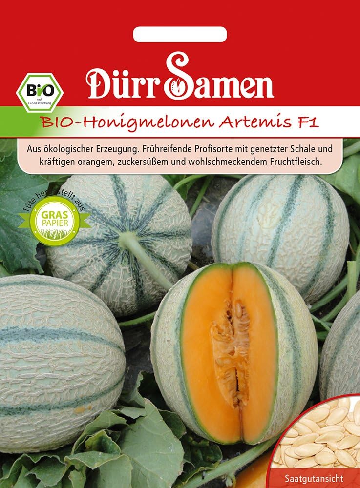 Dürr Samen 4412 Honigmelone Artemis F1 (BioHonigmelonensamen) Amazon