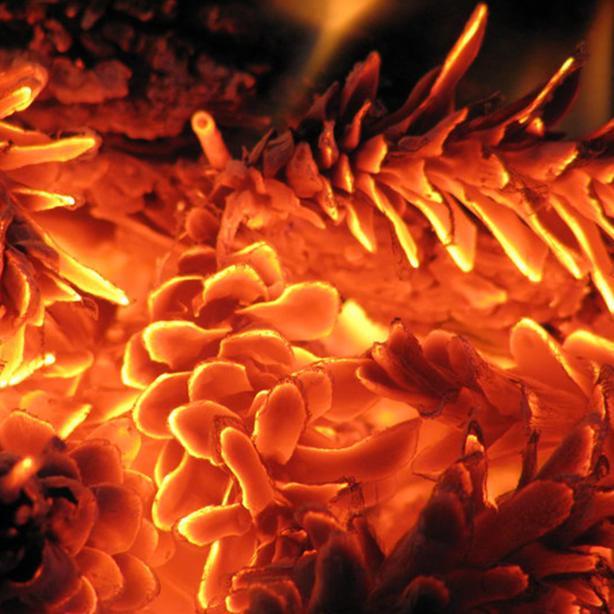 Piñas Encendido Ecológicas, Secas y Grandes para Barbacoa, Chimenea, Caldera y Estufa, 32L — view 7