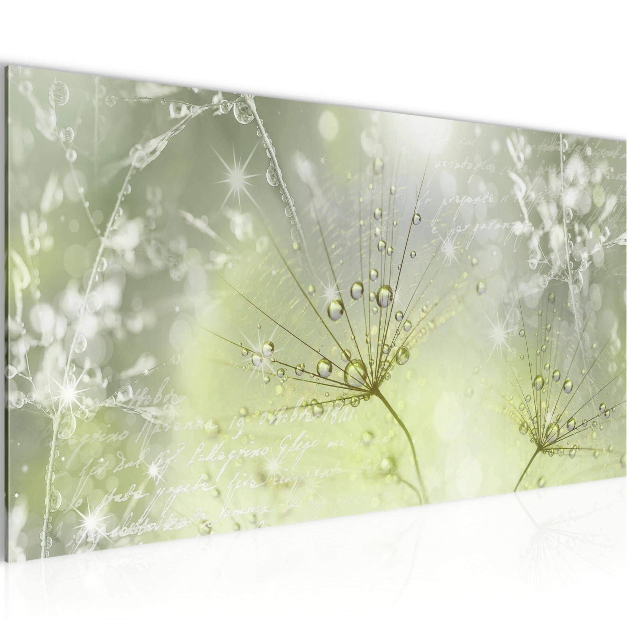 Runa Art H Wall Pictures Dandelion Modern Non-Woven Canvas Living Room All Grasses Green Grey 205612B