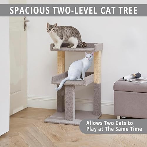 Miniatura 6 de Naomi Home Lulu - Torre de árbol gris para gatos grandes de 2 niveles, condominio resistente y estable para gatos con postes rascadores de sisal,