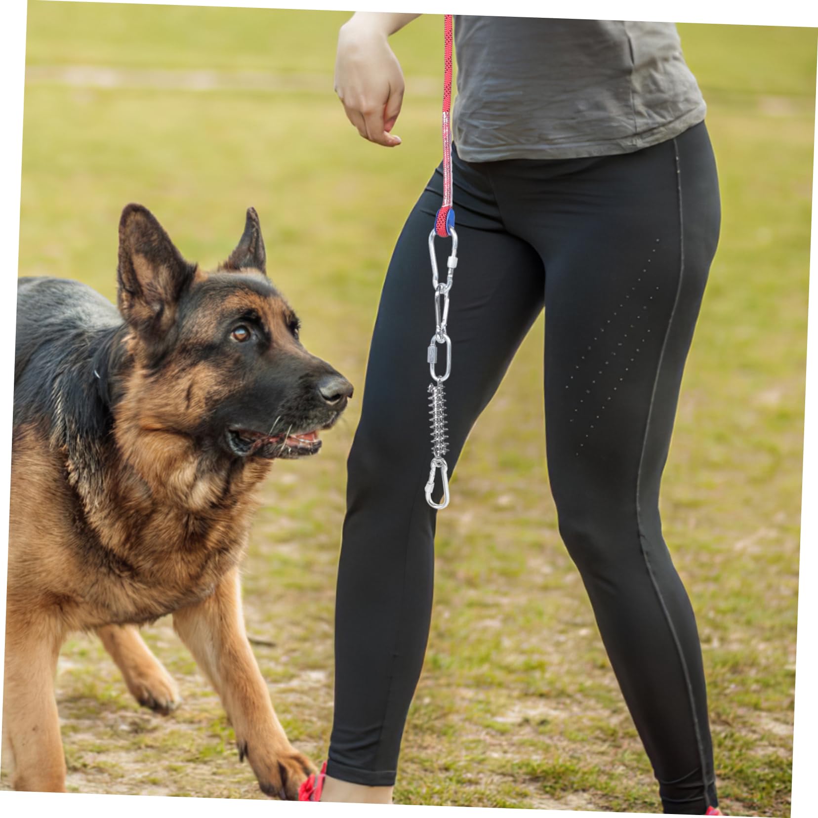 ibasenice Correa para Perro De Cable De Amarre Equipo para Acampar Cadena para Pasear Cachorros para Camping Perros Exteriores