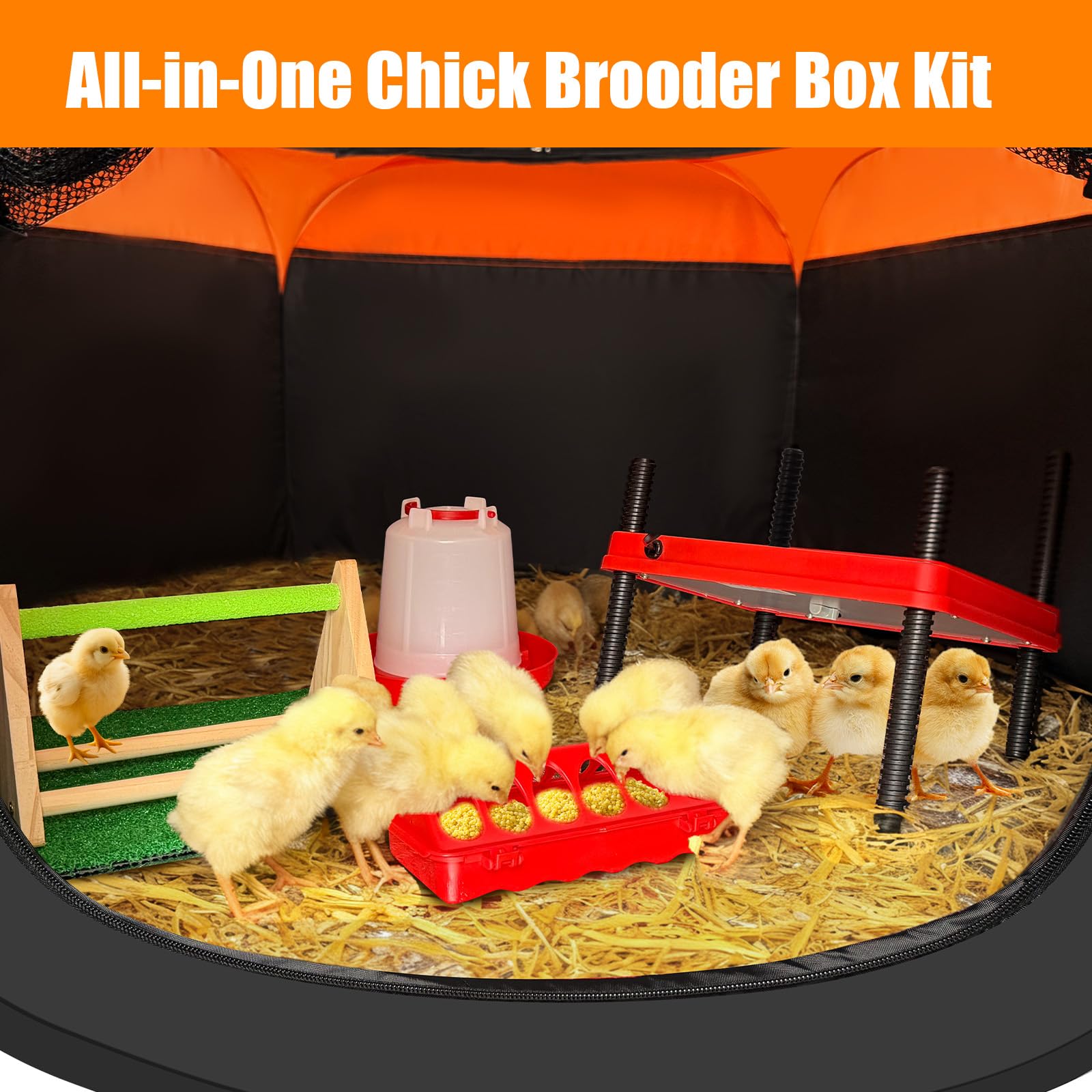 Caja de cría para pollitos, kit de iniciación 6 en 1, incluye placa de calefacción para criadores, corral de pollo para bebés, comedero de pollo, bebedero, perca, almohadilla de anidación (juego de