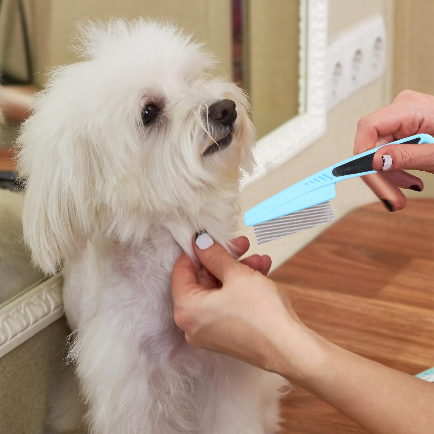 2 peines para perros y gatos, de dientes finos, para eliminar la caspa, las manchas de pelo, para mascotas pequeñas, medianas y grandes, para eliminar la corteza y la mucosidad