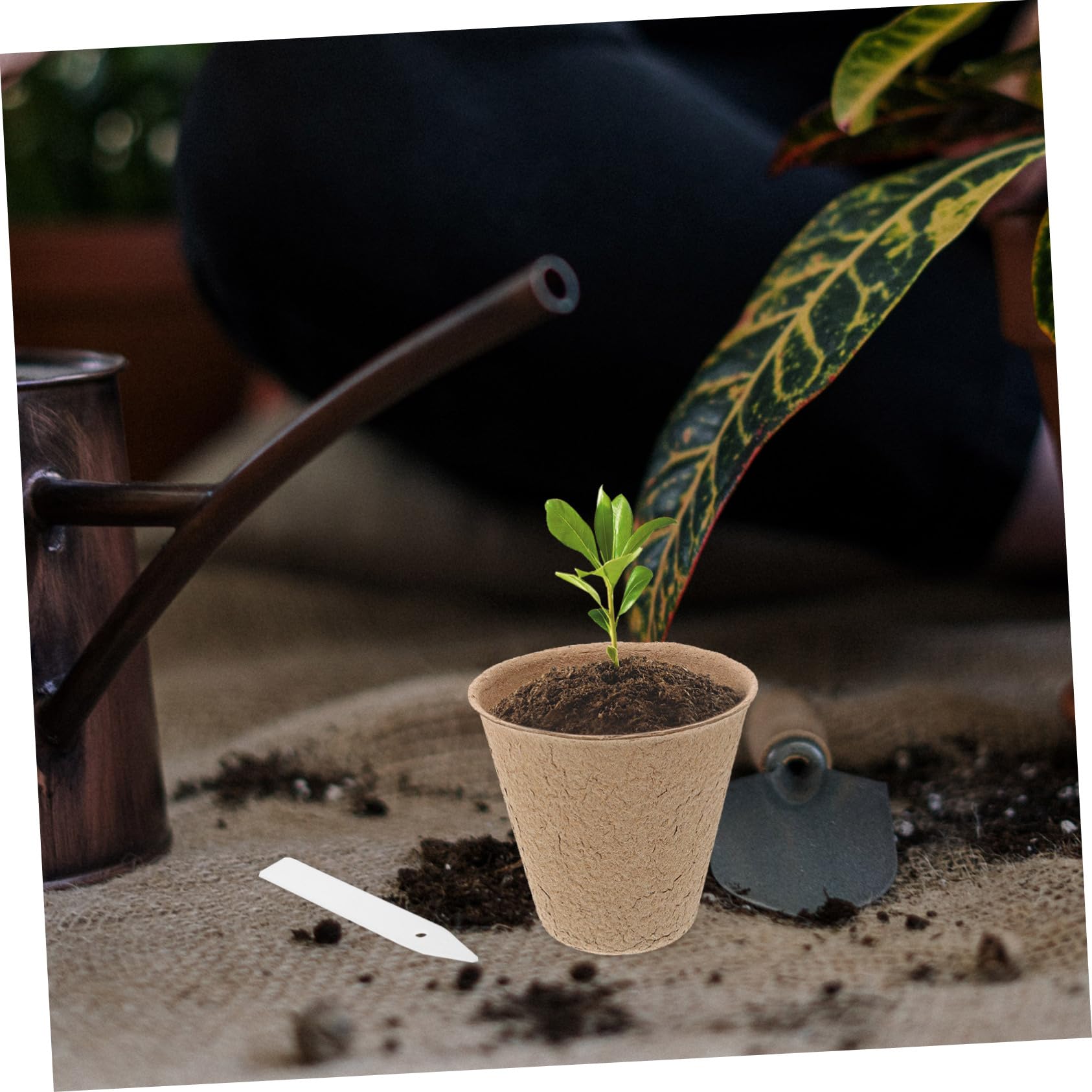 ifundom 110pièces Pots De Semis De Pépinière pour Transplantation Pots De Tourbe De Démarrage Recyclé avec Étiquettes pour Plantes