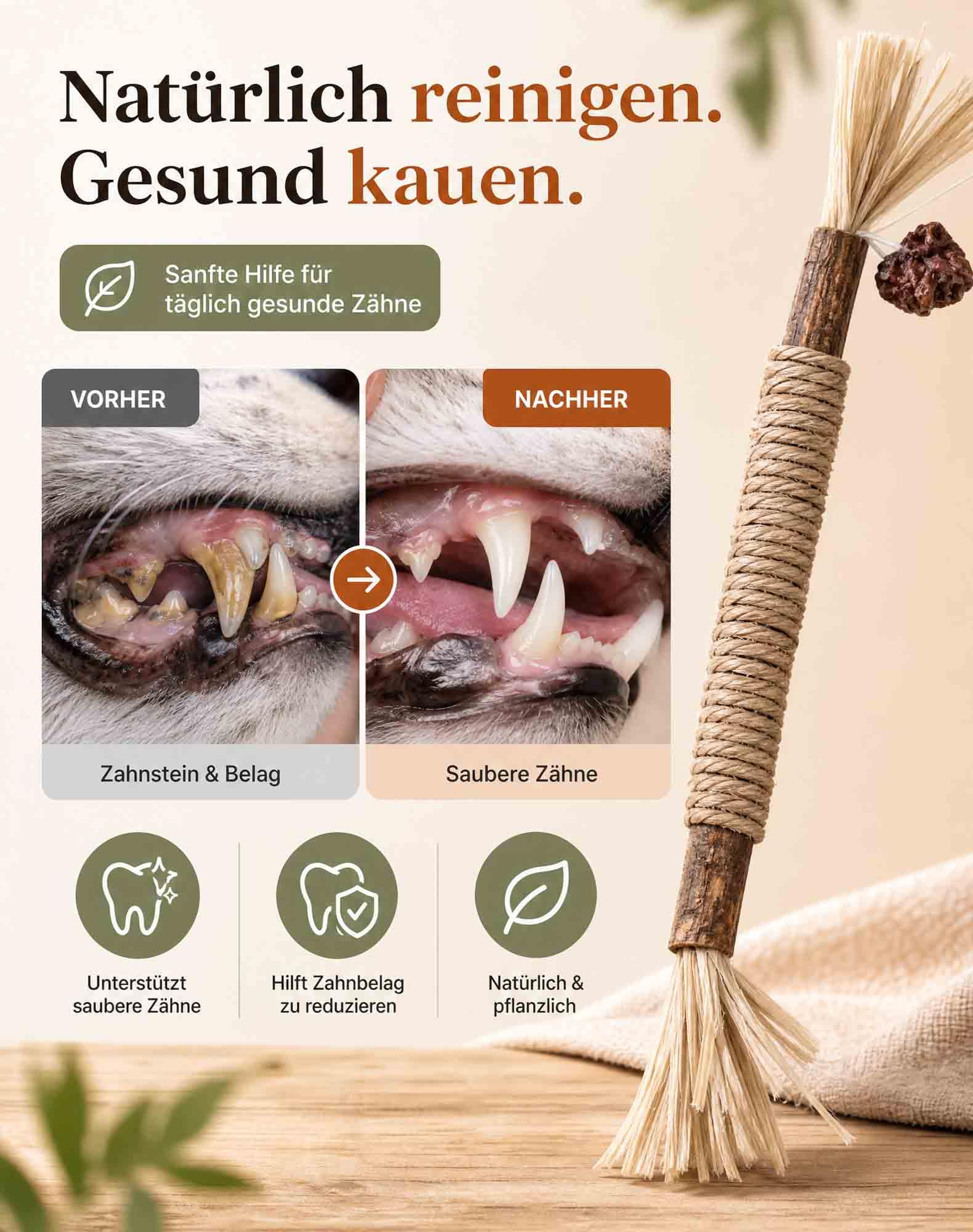 Kuro Sticks Katze, Silvervine Kuro Ritual Katzen Für Natür Zahnpflege (15)